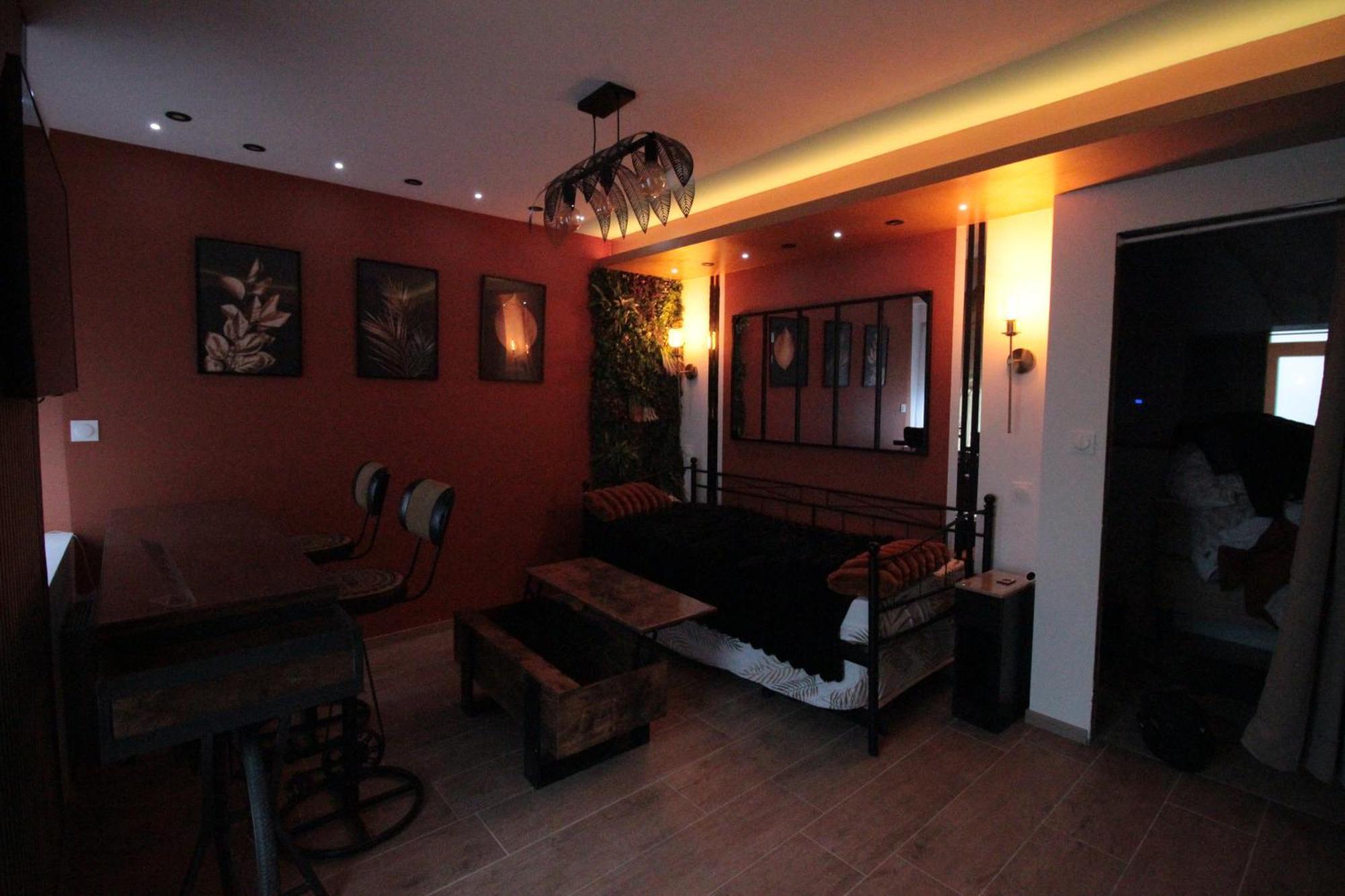 Luxury Studio, Rez De Chaussee, Parking Prive Video Surveillance, Canape Haute Qualite Convertible Couchage 2 Personnes, Centre Ville Proche, Restaurant, Boulangerie 2 Minutes A Pied, Terrasse - 800Metre Carre De Terrain - Gere Par Presta-Zen'Service ヴェルダン・シュル・ムーズ エクステリア 写真